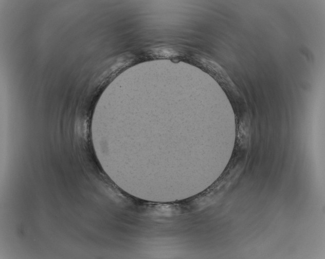 X0000112030330200909141102