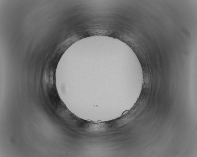 X0000112030334200909141102