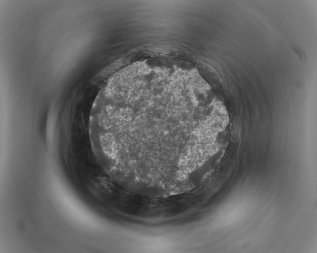 X0000112030335200909141102
