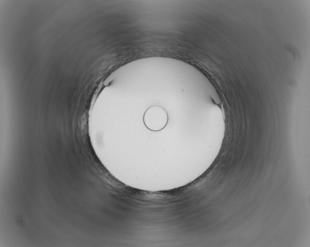 X0000112030336200909141102