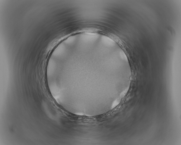 X0000112030337200909141101