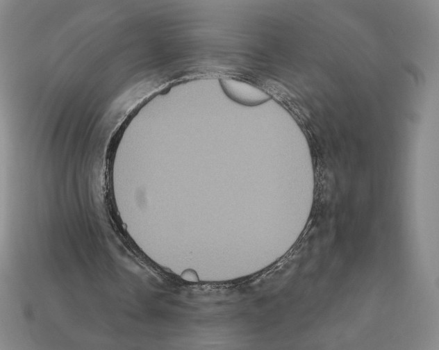 X0000112030338200909141101
