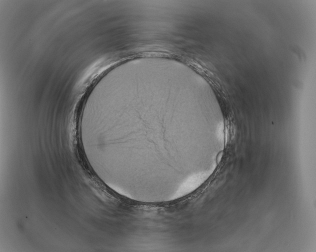 X0000112030339200909141101