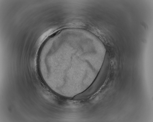 X0000112030340200909141101