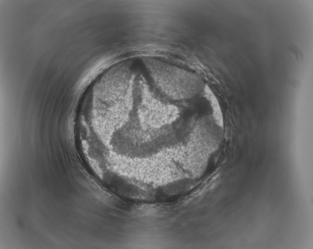 X0000112030341200909141101