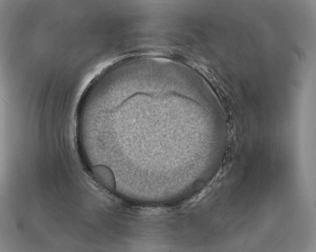 X0000112030342200909141101