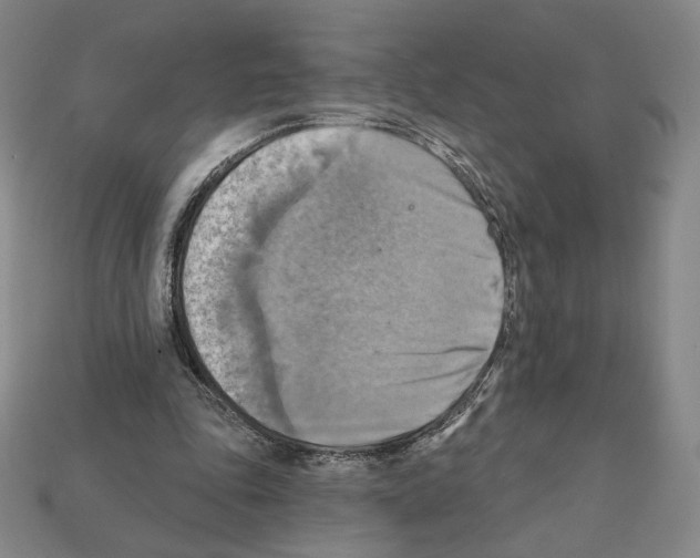 X0000112030343200909141101