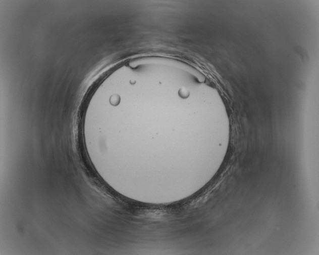 X0000112030344200909141101