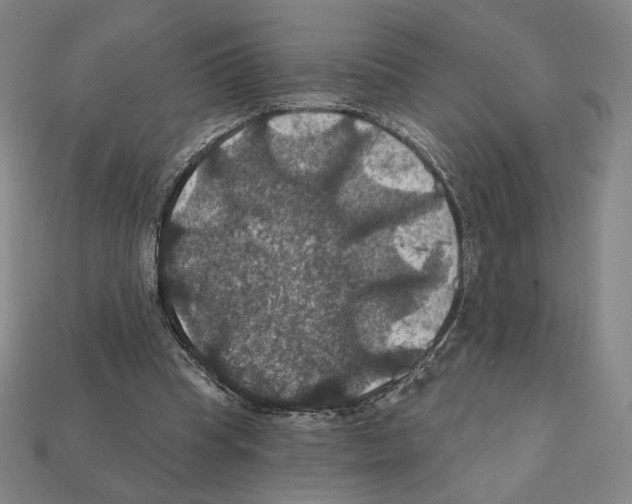 X0000112030345200909141101