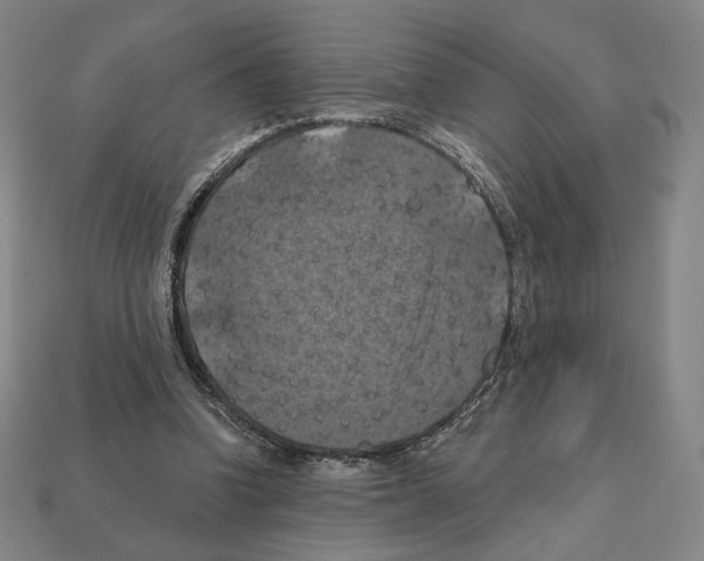 X0000112030346200909141101