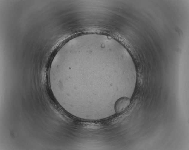 X0000112030347200909141101