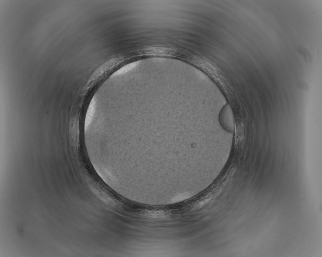 X0000112030349200909141101