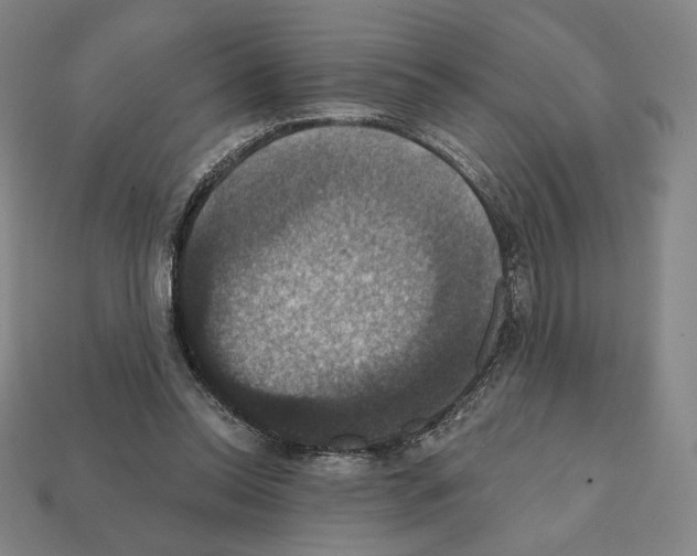 X0000112030350200909141101