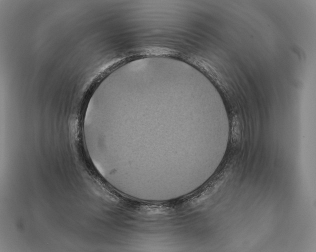 X0000112030351200909141101