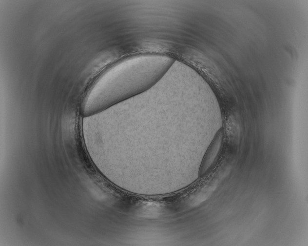 X0000112030352200909141101