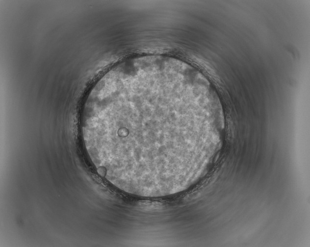 X0000112030354200909141101