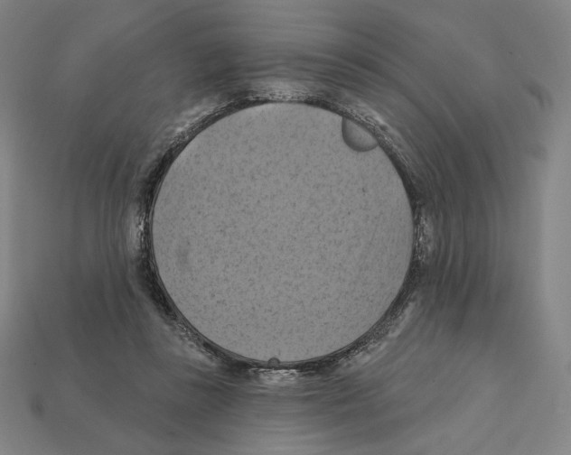 X0000112030355200909141101