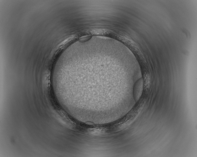 X0000112030356200909141101