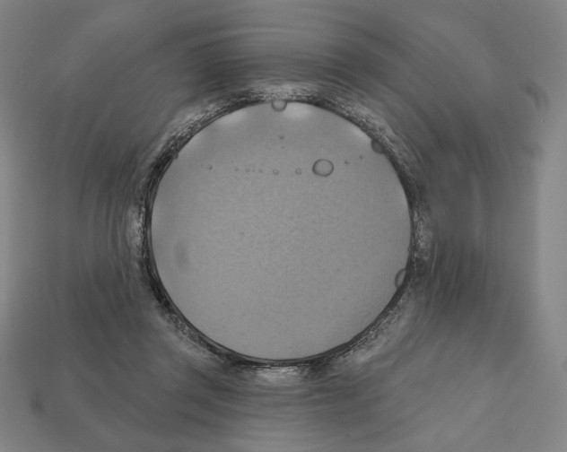 X0000112030357200909141101