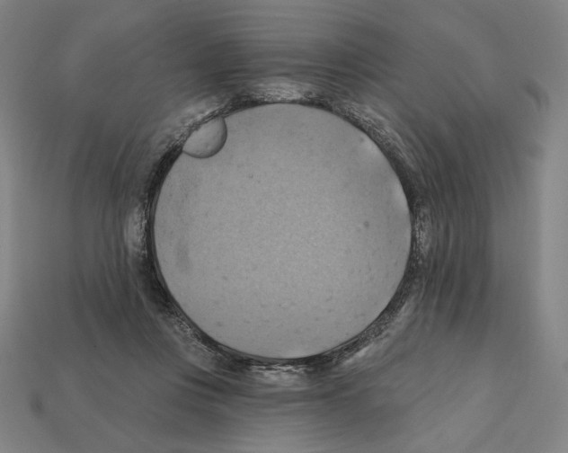 X0000112030359200909141101
