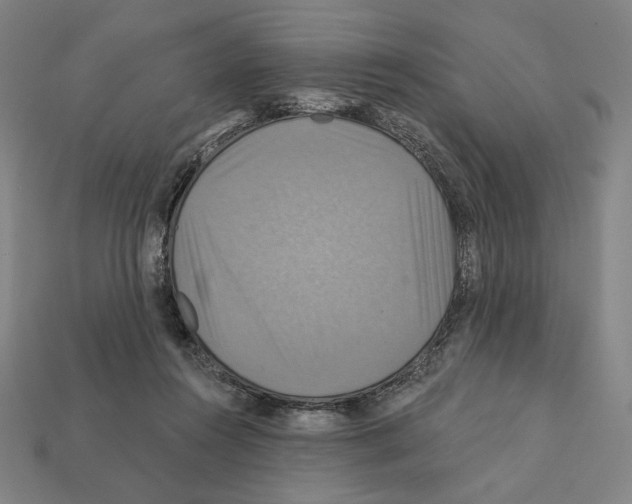 X0000112030360200909141101