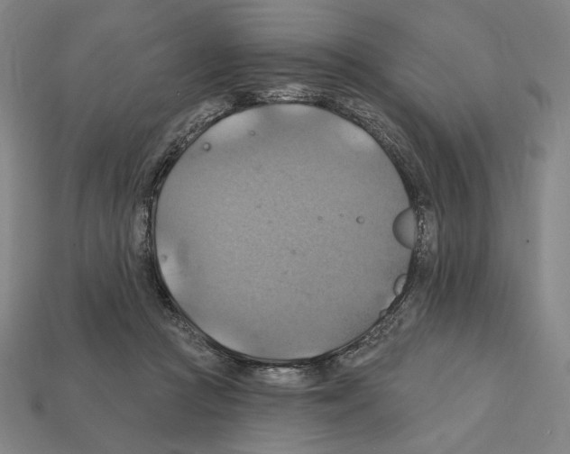 X0000112030361200909141101
