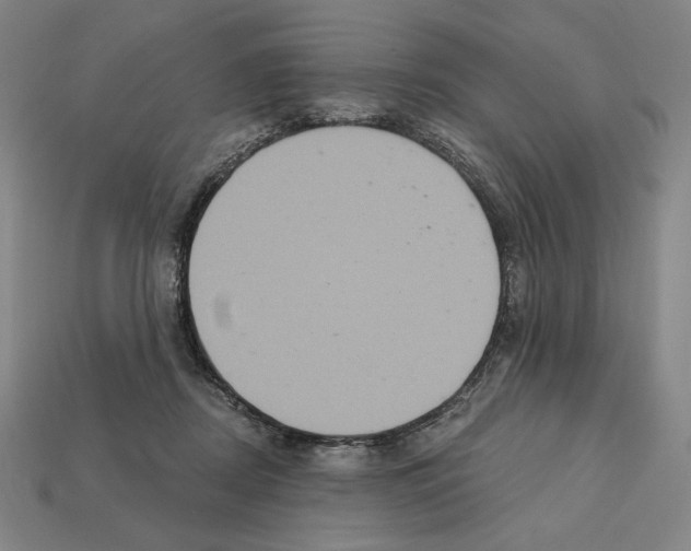 X0000112030362200909141101