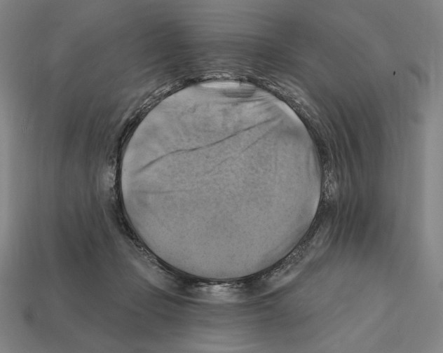 X0000112030365200909141101
