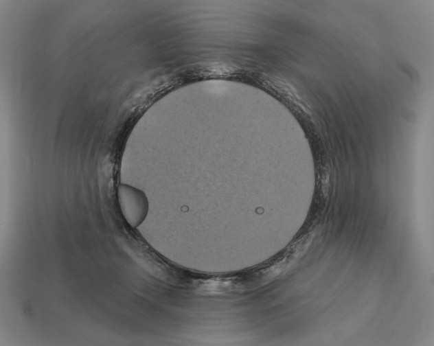 X0000112030366200909141101