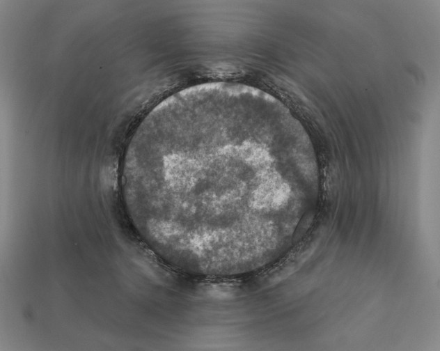 X0000112030368200909141101