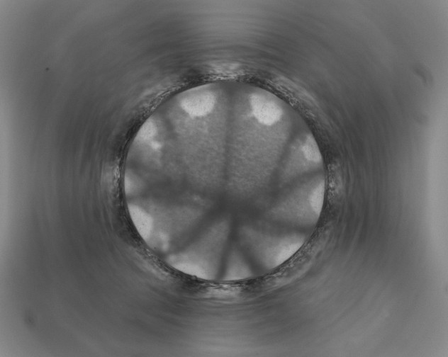 X0000112030369200909141101
