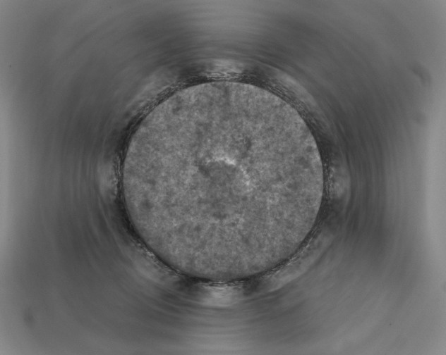 X0000112030370200909141101