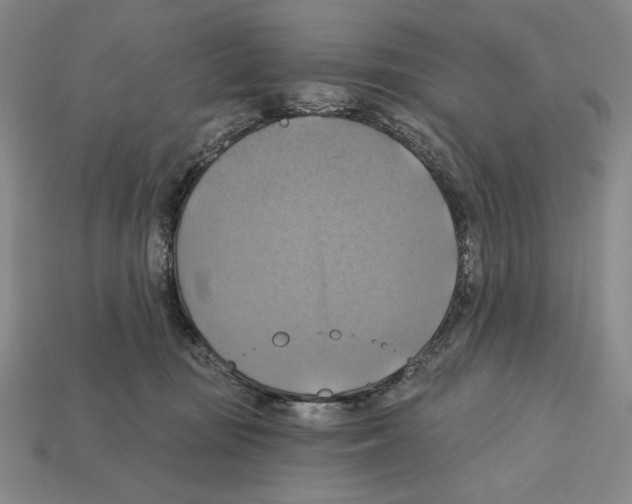 X0000112030371200909141101