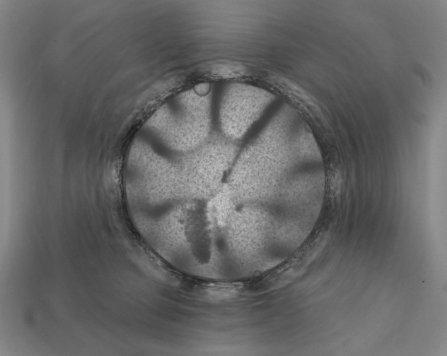 X0000112030373200909141102