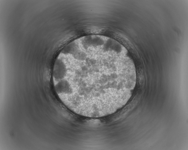 X0000112030374200909141102