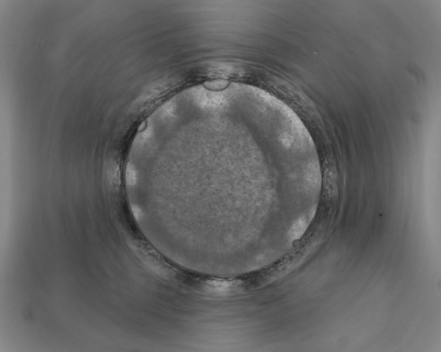 X0000112030375200909141102