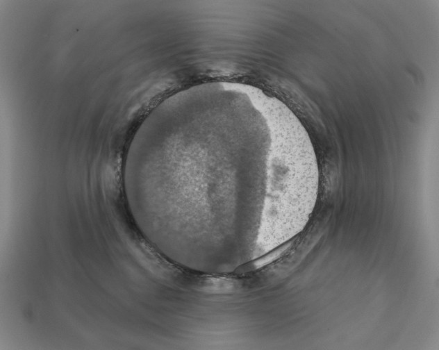 X0000112030376200909141102