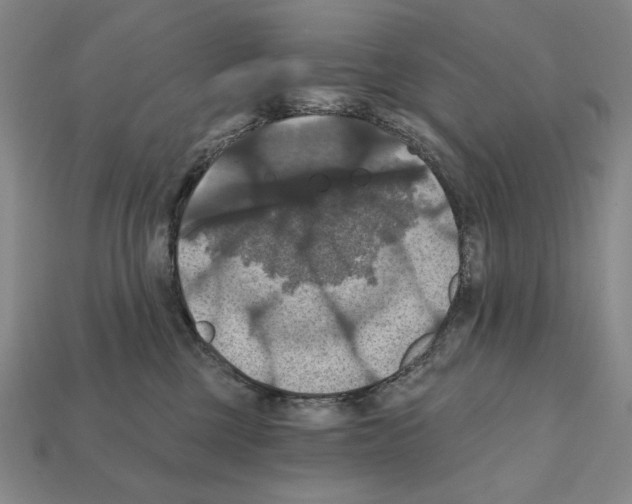 X0000112030377200909141102