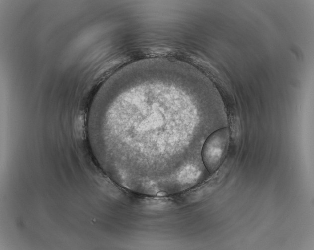 X0000112030378200909141102