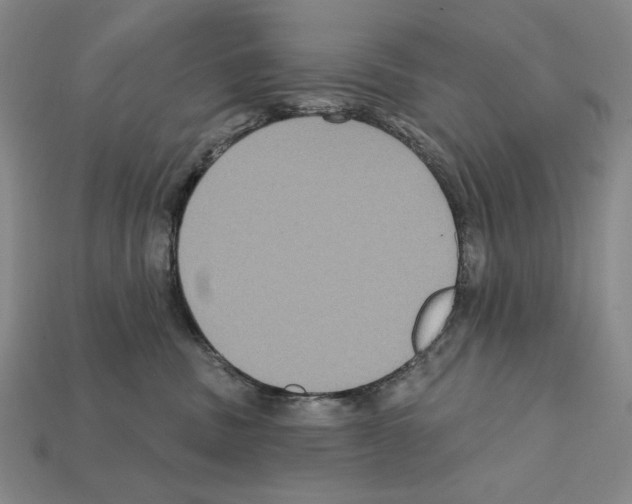 X0000112030379200909141102