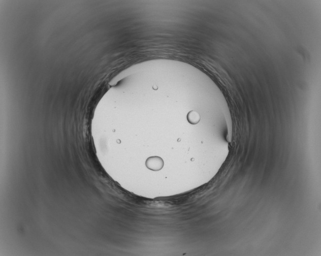 X0000112030380200909141102