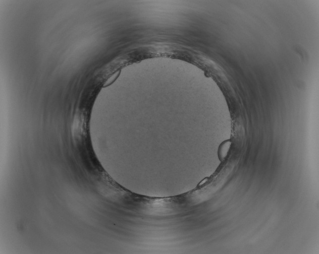 X0000112030382200909141102