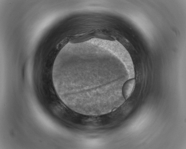 X0000112030383200909141102