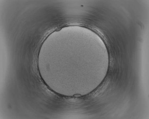 X0000112030385200909141101