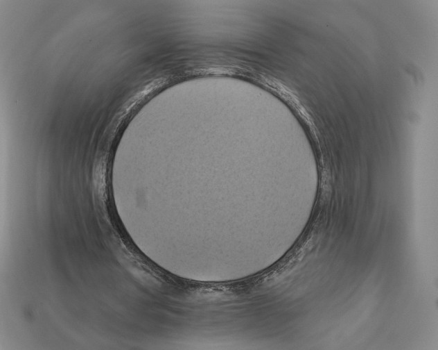 X0000112030386200909141101