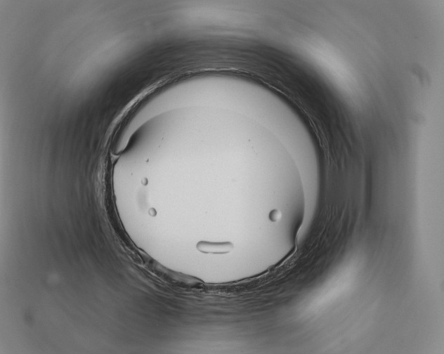 X0000112030387200909141101
