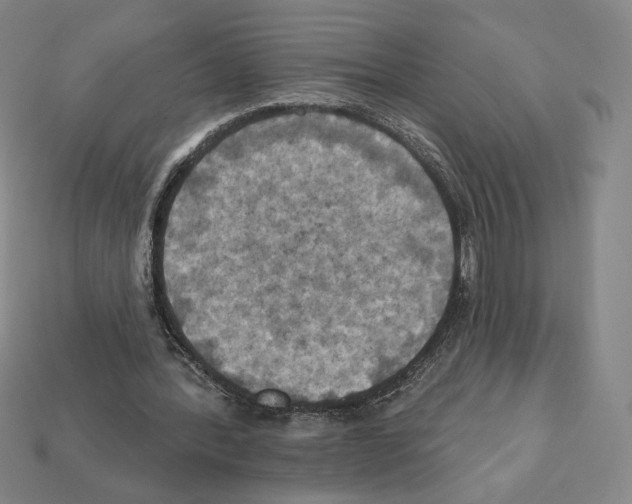 X0000112030388200909141101