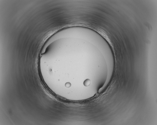 X0000112030389200909141101
