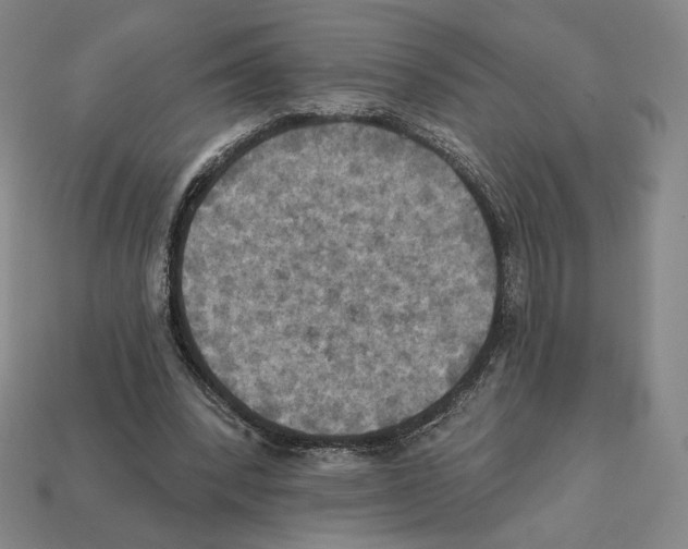 X0000112030392200909141101