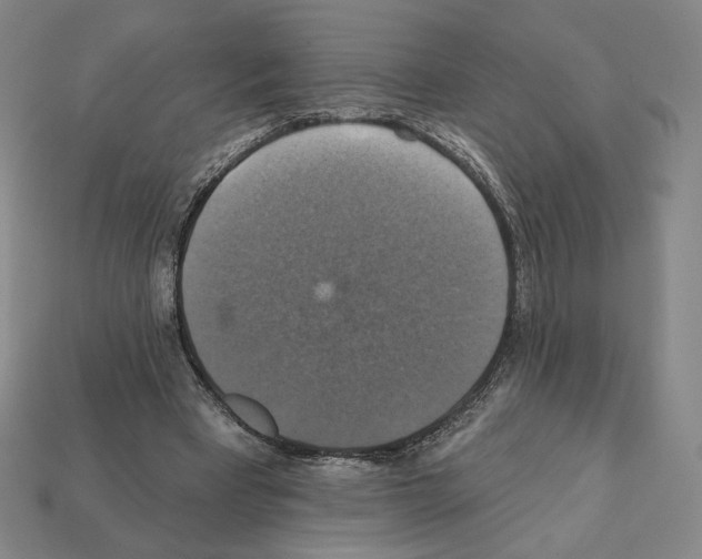 X0000112030393200909141101